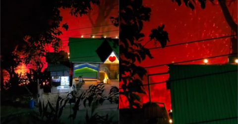 সাজেকে রিসোর্টের পাশে ভয়াবহ আগুন অল্পের জন্য রক্ষা পেলো শতাধিক রিসোর্ট