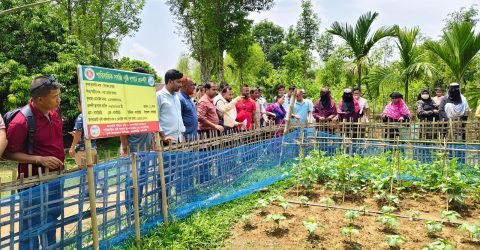 বাঘাইছড়িতে পুষ্টি ও খাদ্য নিরাপদ জোরদার প্রকল্পে প্রশিক্ষণ সমাপ্তি