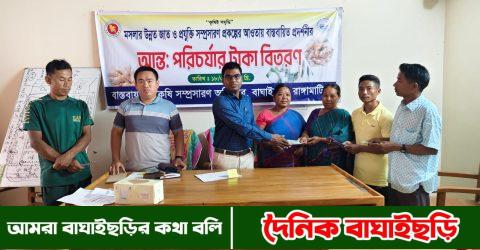 বাঘাইছড়িতে চুইঝাল ও আদা চাষীদের নগদ অর্থ বিতরণ