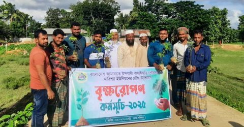 বাঘাইছড়িতে জামায়েতের উদ্যোগে বৃক্ষ রোপন কর্মসূচী পালিত