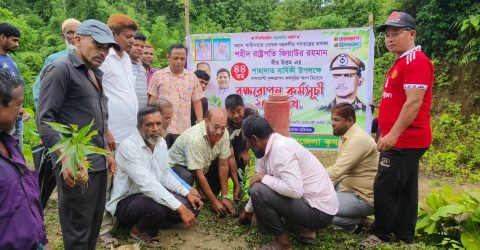 জিয়াউর রহমানের শাহাদাত বার্ষিকী উপলক্ষে কৃষক দলের মাসব্যাপী বৃক্ষরোপণ শুরু