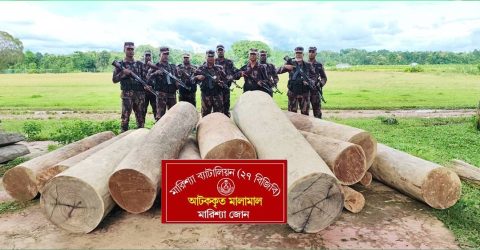 মারিশ্যা জোন ২৭ বিজিবির অভিযানে অবৈধ কাঠ জব্দ