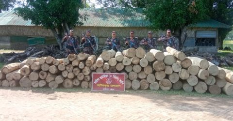 বাঘাইছড়িতে ২৭ বিজিবির অভিযানে ১৬১ ঘনফুট অবৈধ কাঠ জব্দ