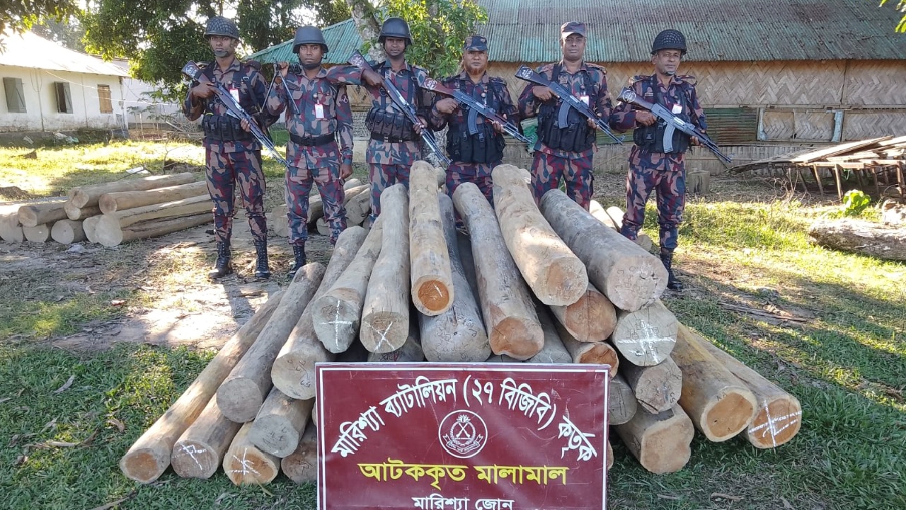 ২৭ বিজিবির অভিযানে পরিত্যক্ত অবস্থায় অবৈধ সেগুন কাঠ জব্দ