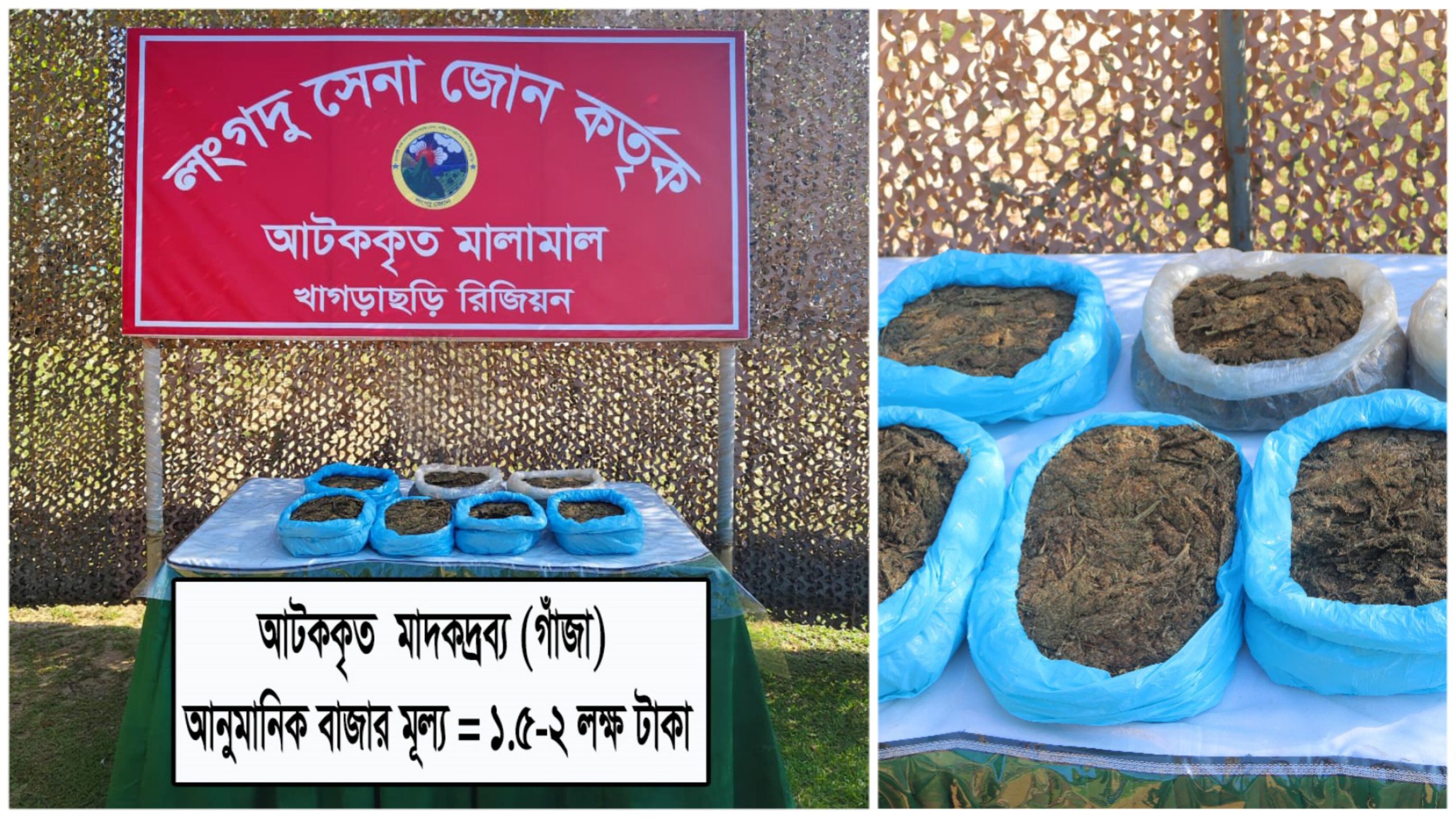 লংগদু সেনা জোনের অভিযানে বিপুল পরিমাণ গাঁজা জব্দ