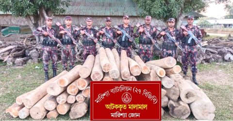 বিজিবির মারিশ্যা জোনের অভিযানে অবৈধ সেগুন কাঠ জব্দ