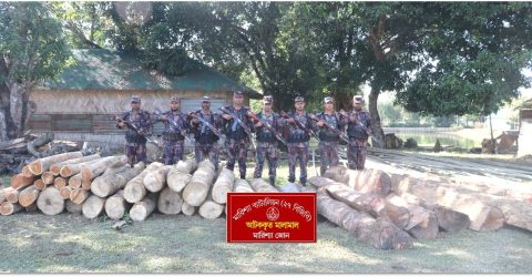 বিজিবির অভিযানে বাঘাইছড়িতে বিপুল পরিমাণ অবৈধ কাঠ জব্দ