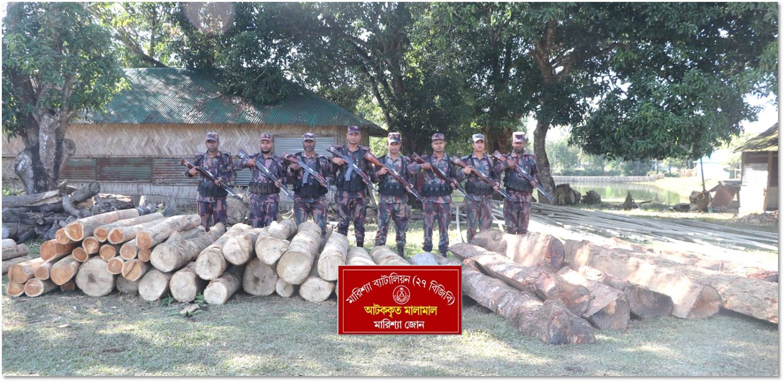 বিজিবির অভিযানে বাঘাইছড়িতে বিপুল পরিমাণ অবৈধ কাঠ জব্দ