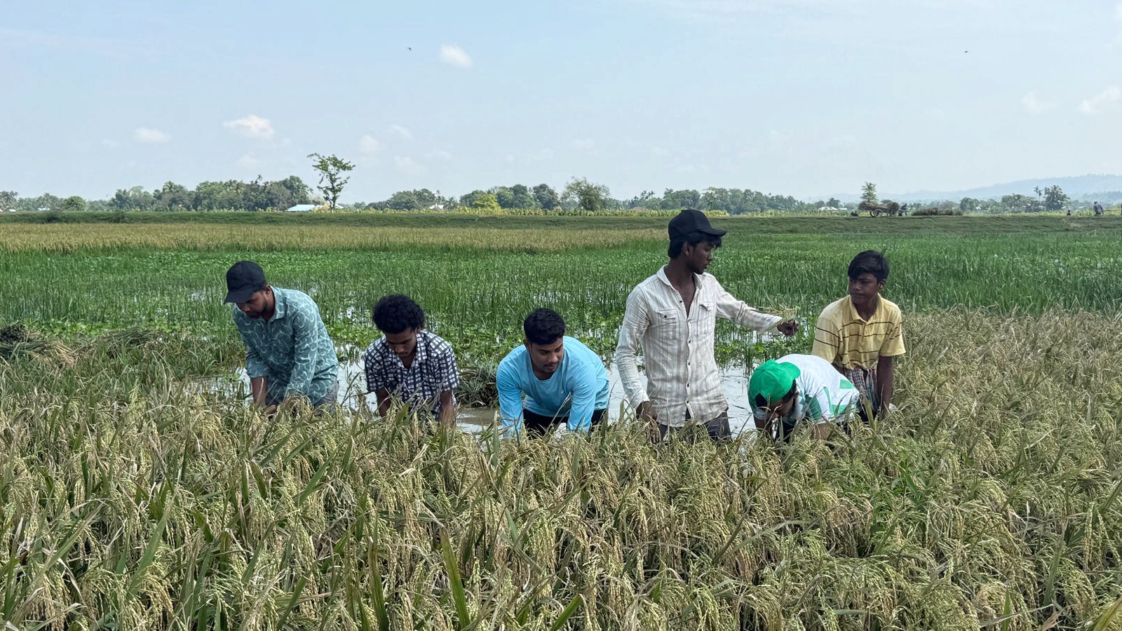 প্রাকৃতিক দুর্যোগে ক্ষতিগ্রস্ত কৃষকের পাশে বাঘাইছড়ি ছাত্রদল