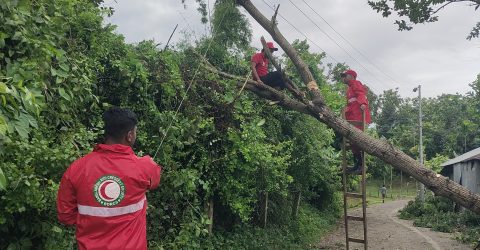 দুরছড়িতে গাছ পড়ে সড়ক বন্ধ, দ্রুত উদ্ধার কাজে যুব রেড ক্রিসেন্ট বাঘাইছড়ি টিম