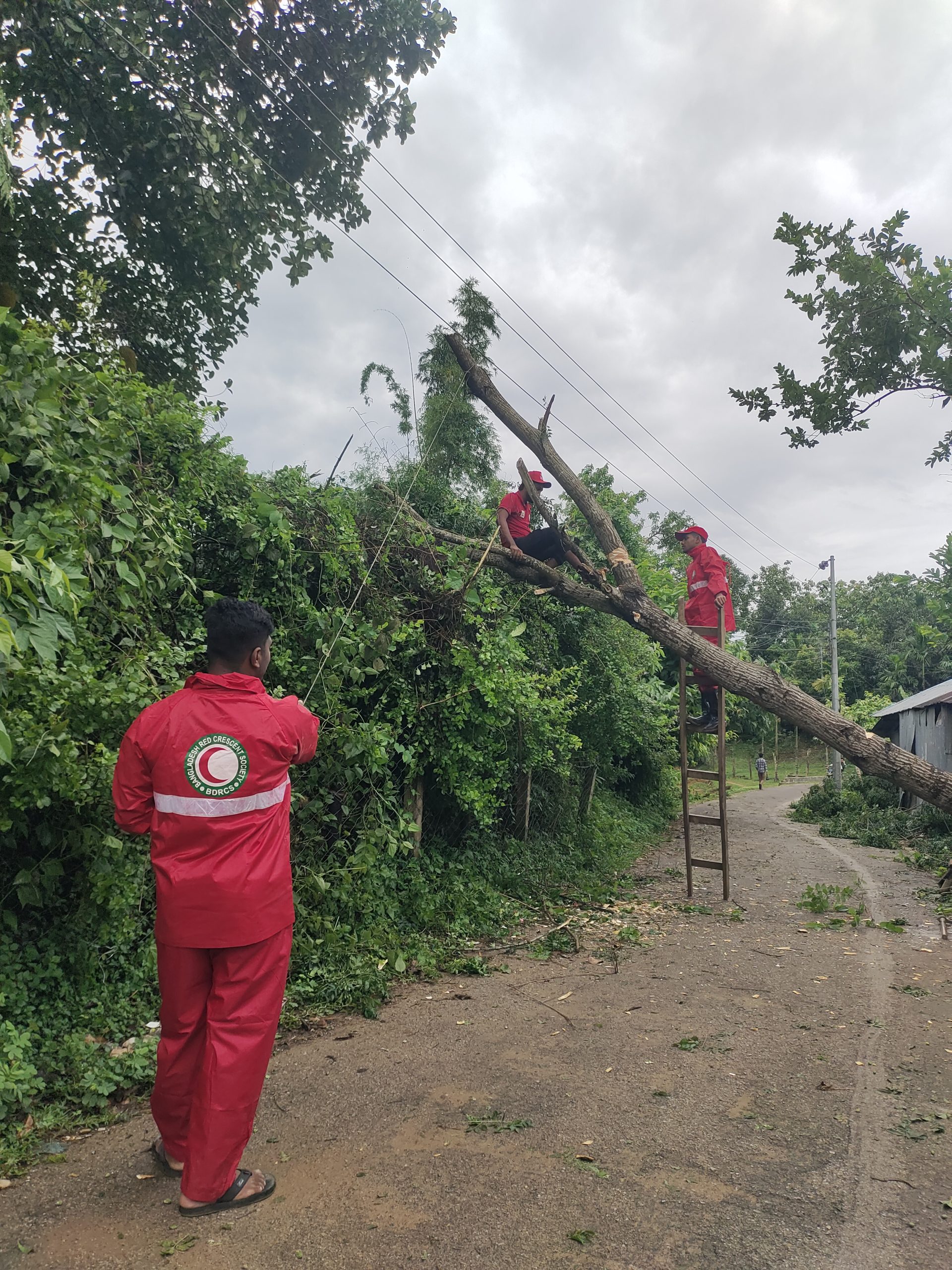 দুরছড়িতে গাছ পড়ে সড়ক বন্ধ, দ্রুত উদ্ধার কাজে যুব রেড ক্রিসেন্ট বাঘাইছড়ি টিম