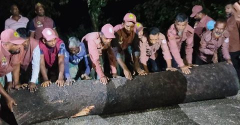 ঝড়ে সড়কে পড়ে থাকা গাছ সরিয়ে যান চলাচল স্বাভাবিক করলেন আনসার-ভিডিপি সদস্যরা