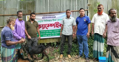 বাঘাইছড়িতে দুই শতাধিক ছাগলকে বিনামূল্যে পিপিআর টিকা প্রদান